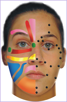 Japansk FaceLifting